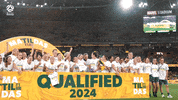 Matildas GIF by Football Australia