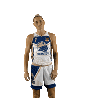 Basketball Sticker by Levharti