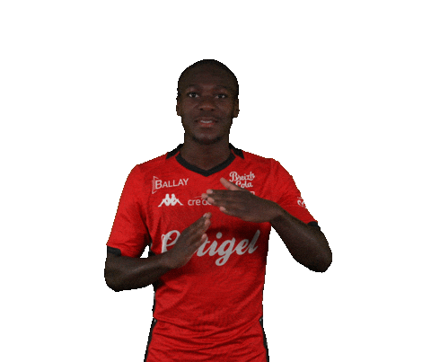 Ligue 2 Football Sticker by EA Guingamp