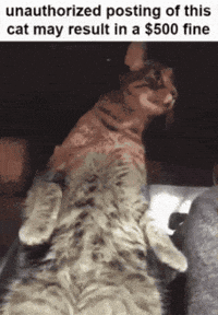 Maragif GIF