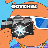 Social Media Smile GIF by Quirk Life Studios