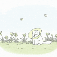 Gardening Lol GIF by Simon's Cat