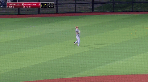 typicalbaseballfan giphyupload GIF