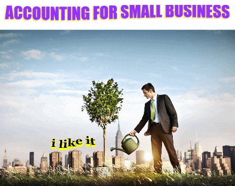 rayvataccounting giphygifmaker giphyattribution startup small business GIF