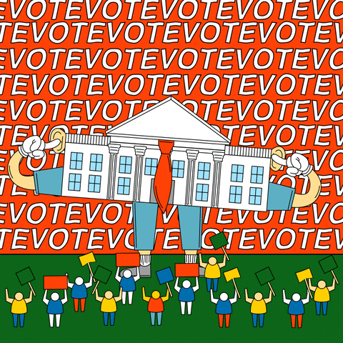 Voting White House GIF by INTO ACTION