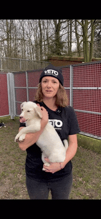Dog Puppy GIF by Mama McCool
