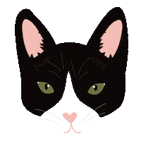 Black Cat Sticker by Maria Murnikov