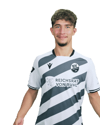 3Liga Sticker by SV Sandhausen