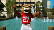 houstoncougars houston sasha gocoogs shasta GIF