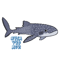Polvo Mar Sticker by Universidade do Vale do Itajaí - Univali