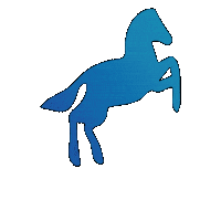 Winter Lantern Sticker by ALBION PHILOSOPHY
