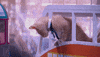 friends cats GIF by Hallmark Channel
