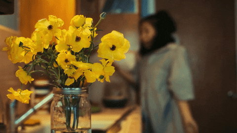 Happy Love Is Love GIF by St. Lucia