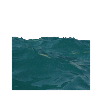 In The Ocean Swimming Sticker