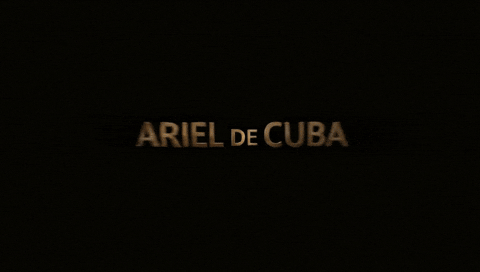 Reggaeton Artista GIF by Ariel de Cuba