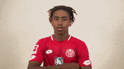 Leandro Barreiro GIF by 1. FSV Mainz 05