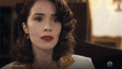 timeless GIF by NBC