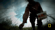 GIF by National Geographic Channel