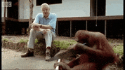 day celebrate GIF