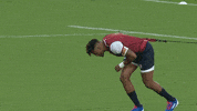 Unleash World Rugby GIF by Rugby World Cup