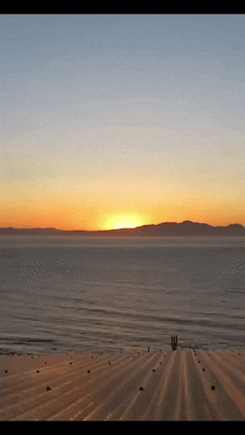 Good Morning GIF by Berk's Beans Coffee