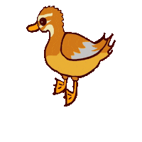 Duck Sticker