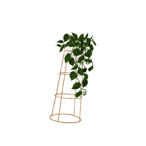 dhefloriano giphyupload design nature plant Sticker