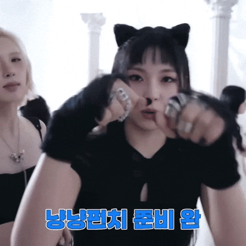 Fight Cat GIF