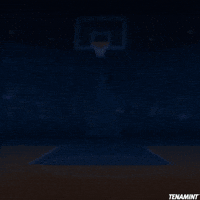 TENAMINT pixelart nba hockey stars GIF