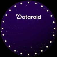 Dataroid GIF by Commencis