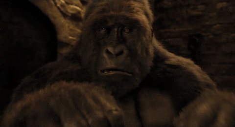 Robert Downey Jr GIF by Dolittle