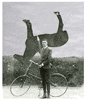 Horse Spinning GIF by GIF IT UP