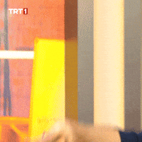 Create Hokus Pokus GIF by TRT