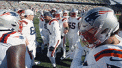 Football Nfl GIF by New England Patriots