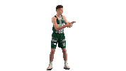 Basketball Hoops Sticker by Basket_fi