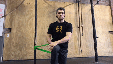 setforset giphygifmaker GIF