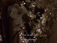 season 1 netflix GIF by Gilmore Girls 