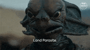 Science Fiction Thirteenth Doctor GIF by Doctor Who