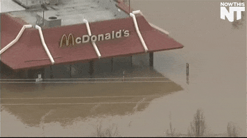 mcdonalds wow GIF by NowThis 