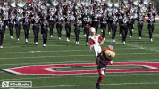 Ncaa Sports GIF by Ohio State Athletics