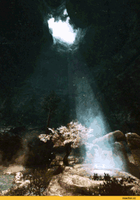 cave GIF