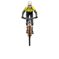 BIKESCHOOLPEKOLL bike ride explore progress Sticker