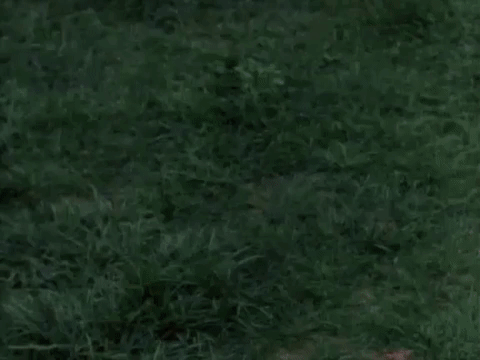 the adventures of pete and pete season number GIF