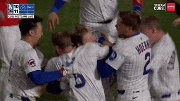 Chicago Cubs Win GIF by TheDreamTeam 