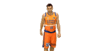 Vamos Liga Endesa Sticker by ACB