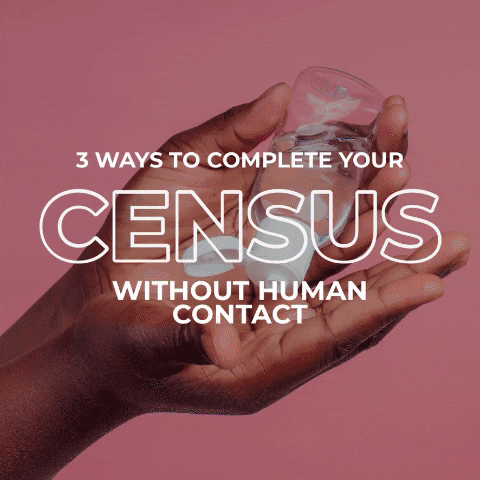 CensusOpenInnovationLab giphygifmaker census 2020census GIF