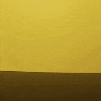 Stop Motion Coffee GIF by cintascotch