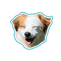 Happydog Smiledog Sticker by Psitwór