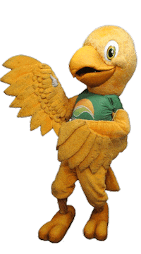 Bird Apontar Sticker by PassarinhoHortifruti
