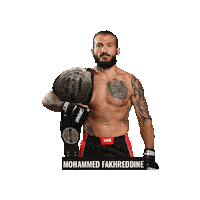 Mixed Martial Arts Mma Sticker by BRAVE Combat Federation